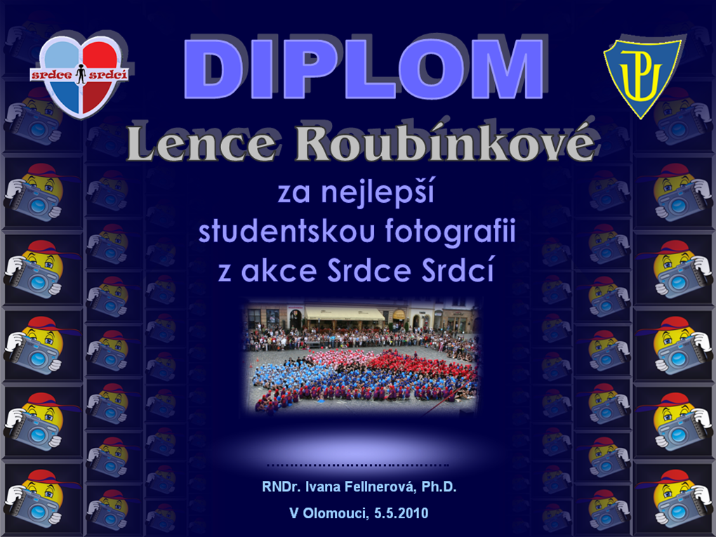 diplom_roubinkova